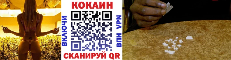 COCAIN Fish Scale  Купить закладки  Кодинск 