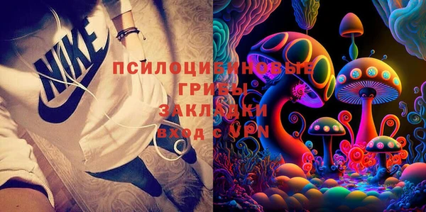 PSILOCYBIN Заволжск