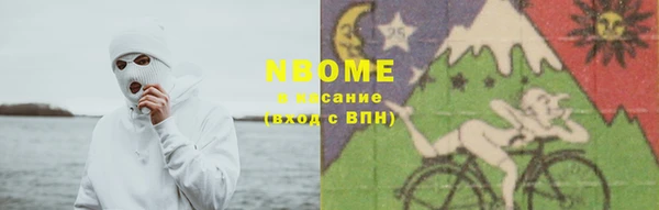 прущие грибы Ельня