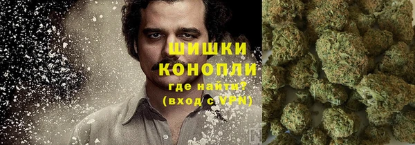 PSILOCYBIN Заволжск