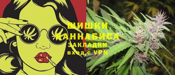 PSILOCYBIN Заволжск