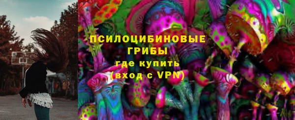 первитин Заводоуковск