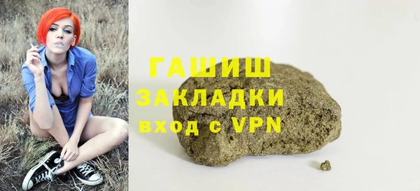 прущие грибы Ельня