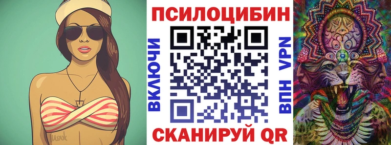 Купить  Кодинск  Псилоцибиновые грибы мицелий 